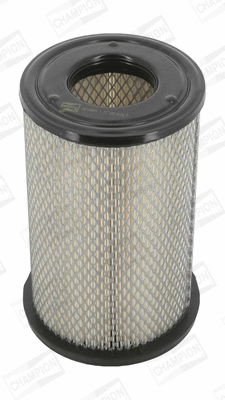 Air Filter (CAF100491C)