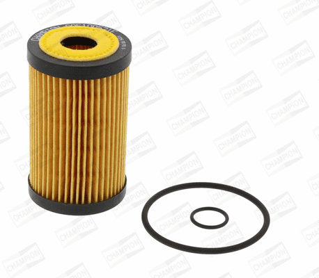 Oil Filter (COF100521E)