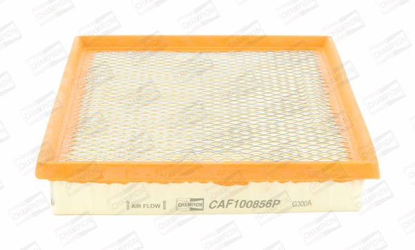 Air Filter (CAF100856P)