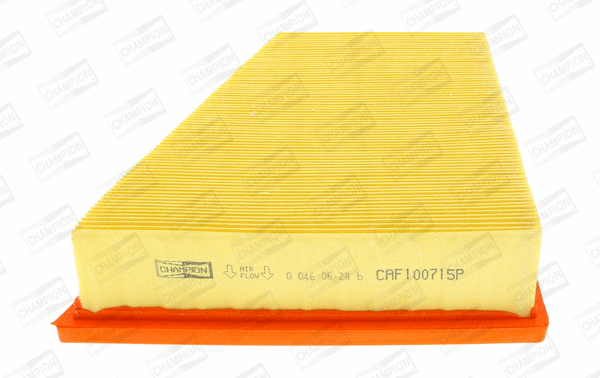 Air Filter (CAF100715P)