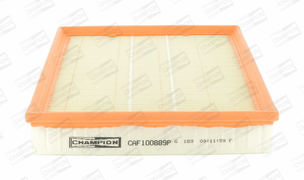 Air Filter (CAF100889P)