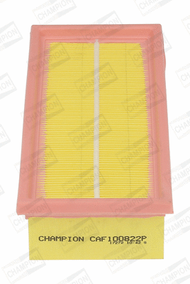 Air Filter (CAF100822P)