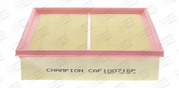 Air Filter (CAF100716P)