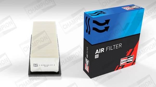 Air Filter (CAF100720P)