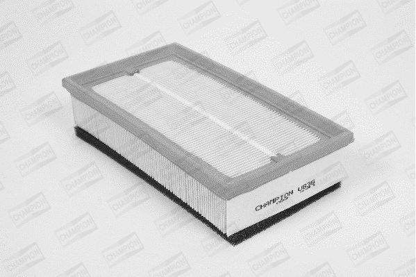 Air Filter (U836/606)