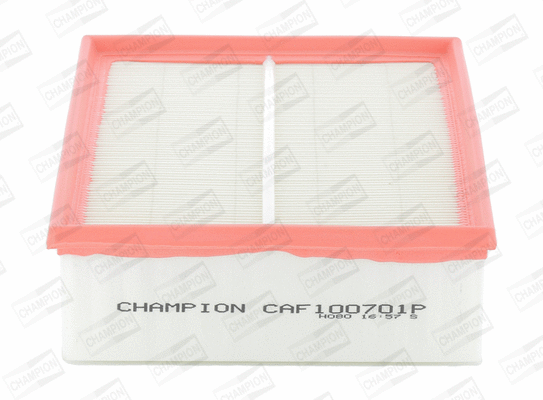Air Filter (CAF100701P)