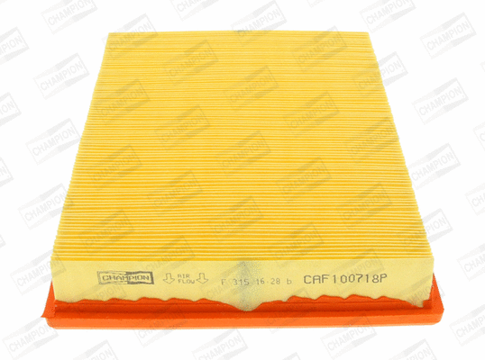 Air Filter (CAF100718P)