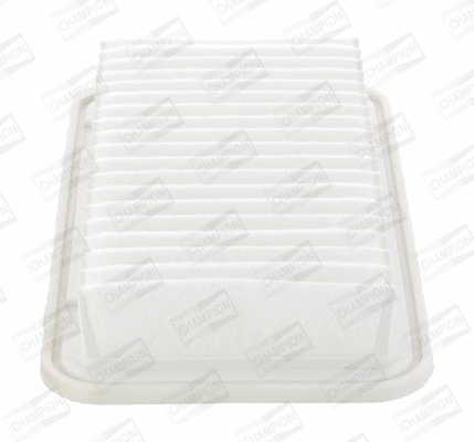 Air Filter (CAF100813P)
