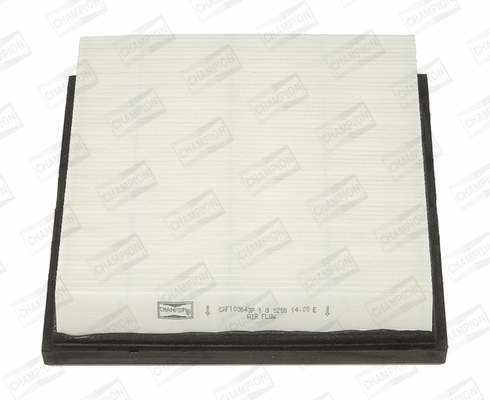 Air Filter (CAF100643P)