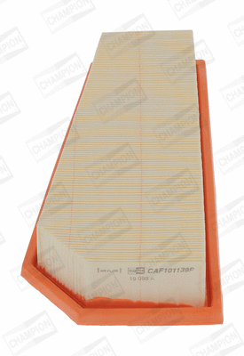 Air Filter (CAF101139P)