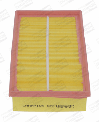 Air Filter (CAF100624P)
