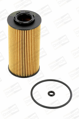 Oil Filter (COF100575E)