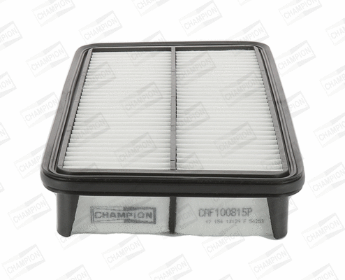 Air Filter (CAF100815P)