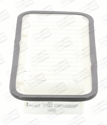 Air Filter (CAF100809P)