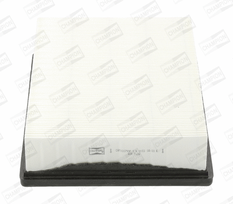 Air Filter (CAF100793P)