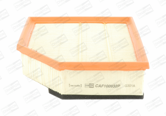 Air Filter (CAF100932P)