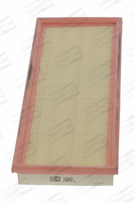 Air Filter (CAF100560P)
