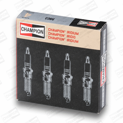 Spark Plug