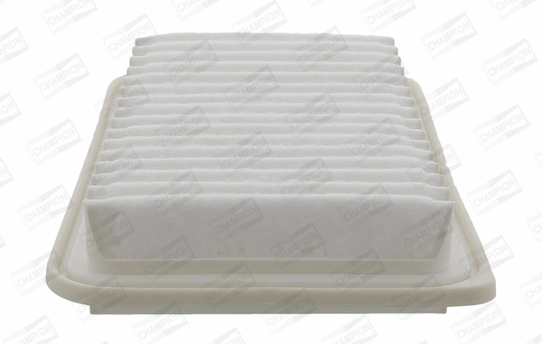 Air Filter (CAF101953P)