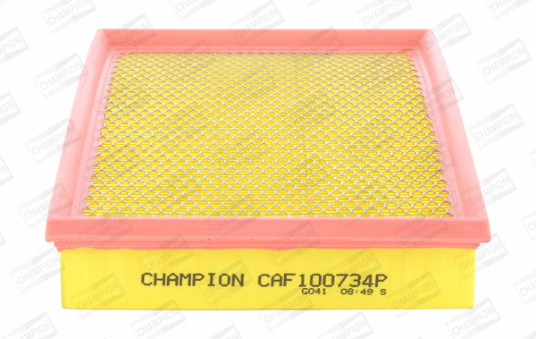 Air Filter (CAF100734P)