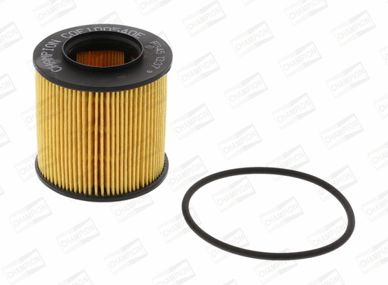 Oil Filter (COF100540E)