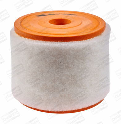 Air Filter (CAF101081R)