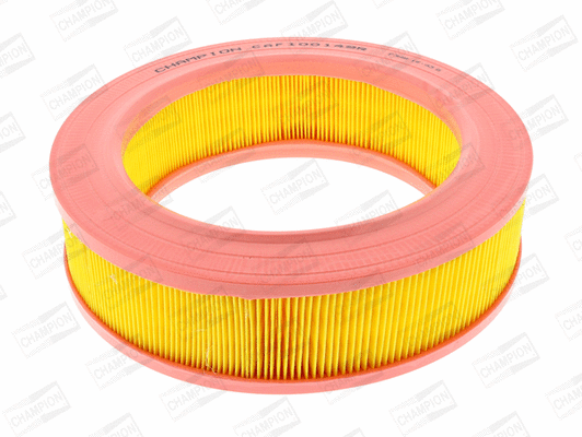 Air Filter (CAF100149R)