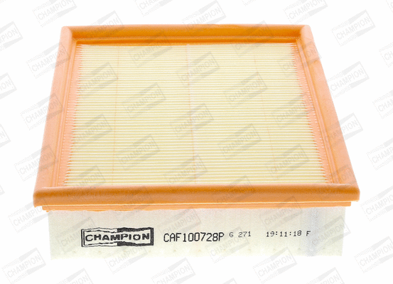 Air Filter (CAF100728P)