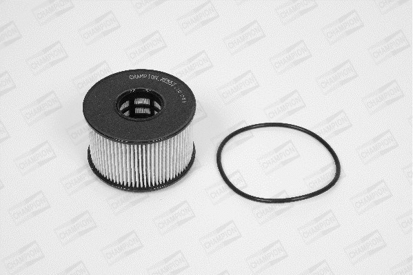 Oil Filter (XE557/606)