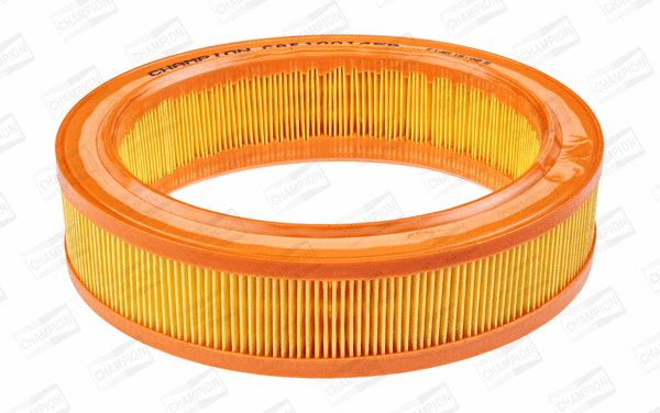 Air Filter (CAF100145R)