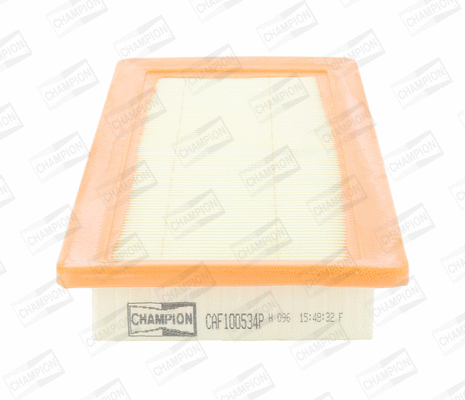 Air Filter (CAF100534P)