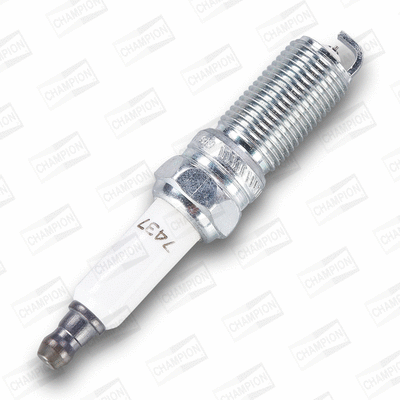 Spark Plug