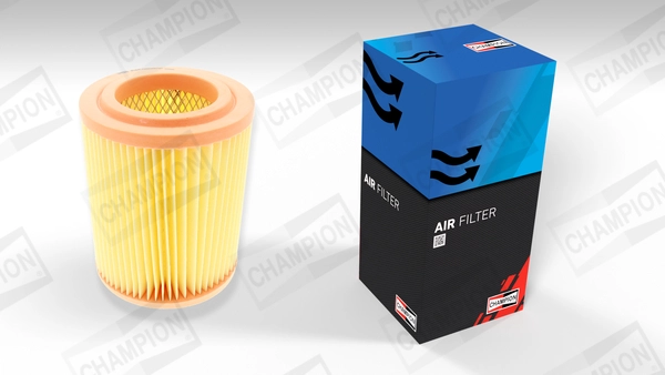 Air Filter (CAF100457C)