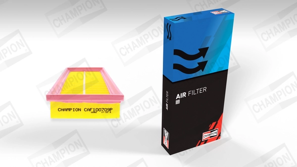 Air Filter (CAF100709P)