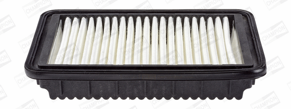 Air Filter (CAF101033P)