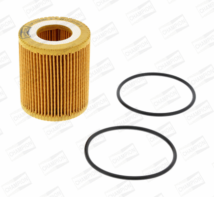 Oil Filter (COF100536E)