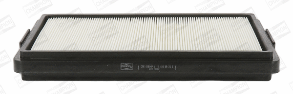 Air Filter (CAF100504P)