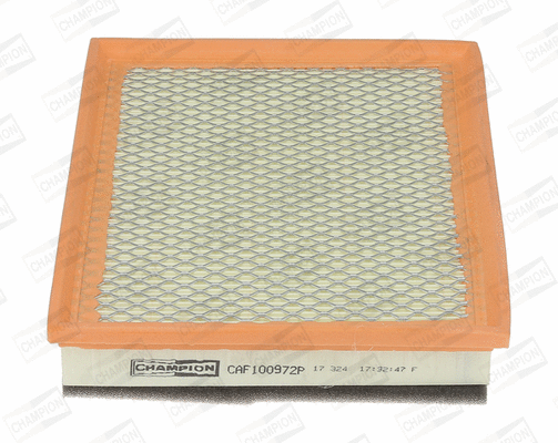 Air Filter (CAF100972P)