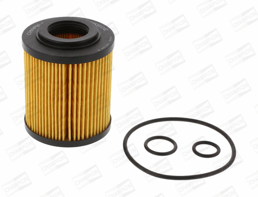 Oil Filter (COF100560E)