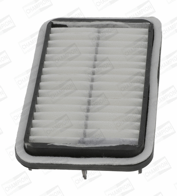 Air Filter (CAF100966P)