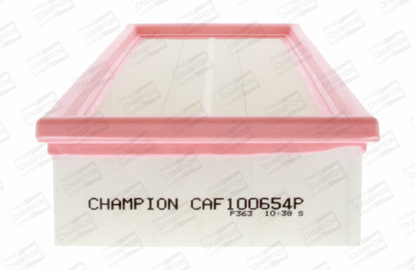 Air Filter (CAF100654P)
