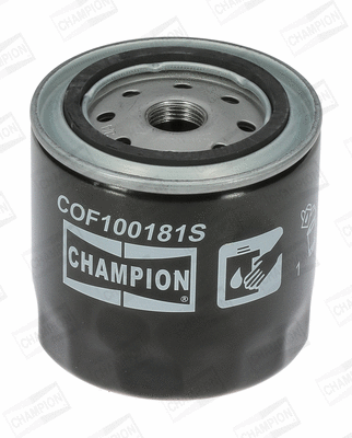 Oil Filter (COF100181S)