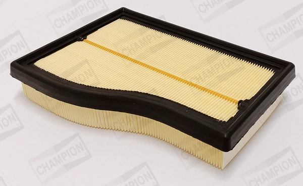 Air Filter (CAF101213P)