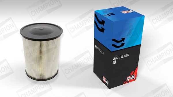 Air Filter (CAF100493C)