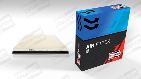 Air Filter (CAF100598P)