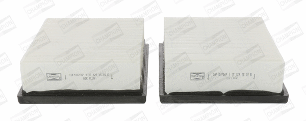 Air Filter (CAF100726P)