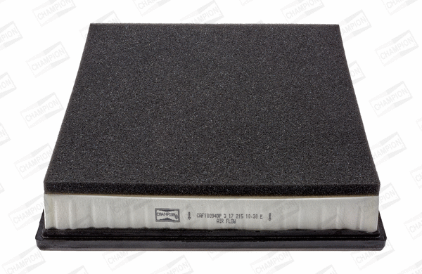 Air Filter (CAF100949P)