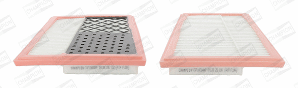 Air Filter (CAF100844P)
