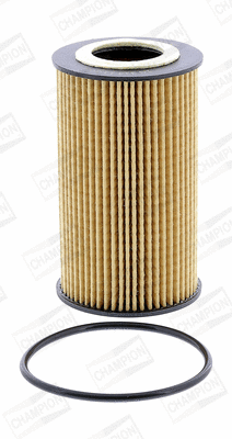 Oil Filter (COF100570E)