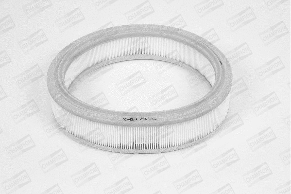Air Filter (W713/606)